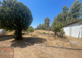 Foto 10 - Villa Strada Cavatella, Latina - foto 10