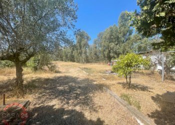 Foto 11 - Villa Strada Cavatella, Latina - foto 11