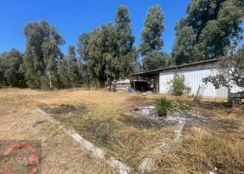 Foto 12 - Villa Strada Cavatella, Latina - foto 12