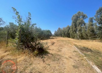 Foto 13 - Villa Strada Cavatella, Latina - foto 13