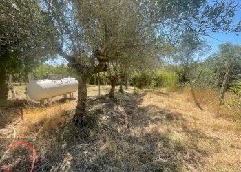 Foto 14 - Villa Strada Cavatella, Latina - foto 14