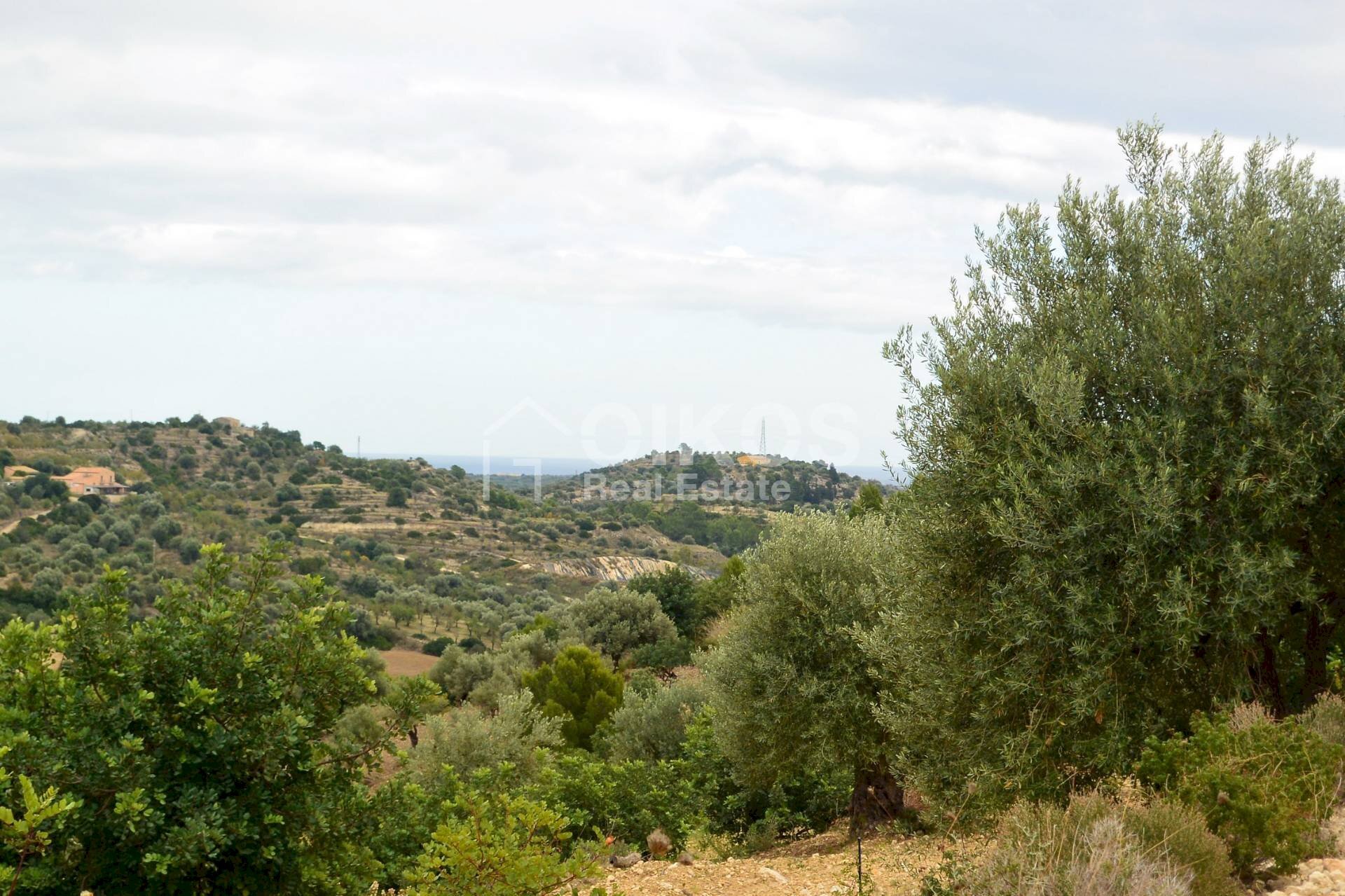 Foto 2 - Agricultural land C.da Saccollino
 
snc, Noto - photo 2