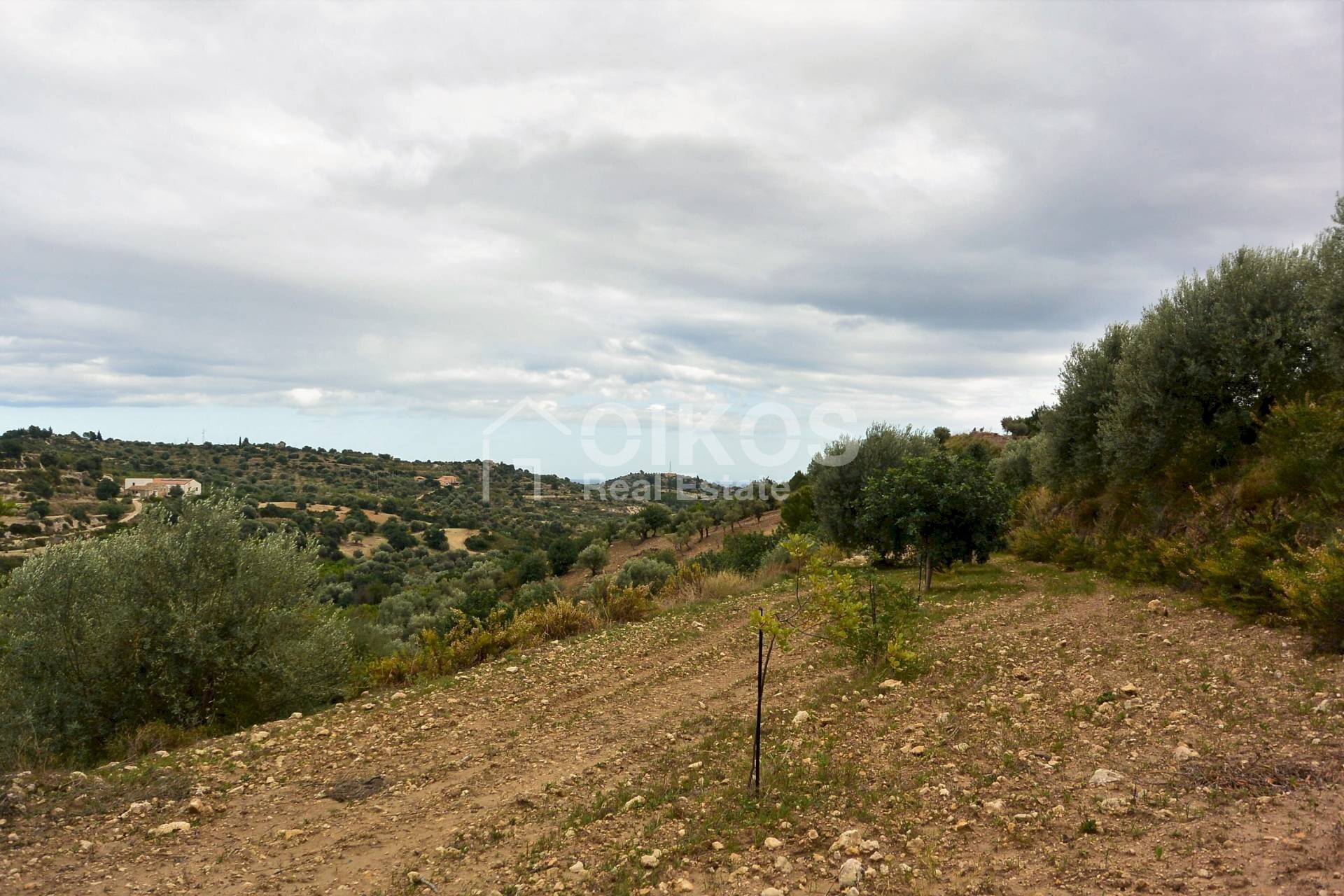 Foto 3 - Agricultural land C.da Saccollino
 
snc, Noto - photo 3