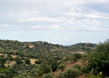 Foto 1 - Agricultural land C.da Saccollino
 
snc, Noto - photo 1