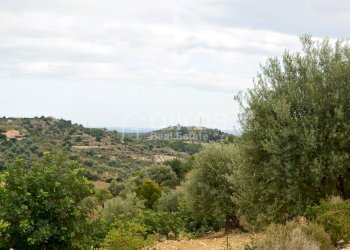 Foto 2 - Agricultural land C.da Saccollino
 
snc, Noto - photo 2