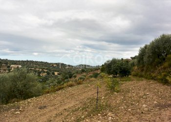 Foto 3 - Agricultural land C.da Saccollino
 
snc, Noto - photo 3