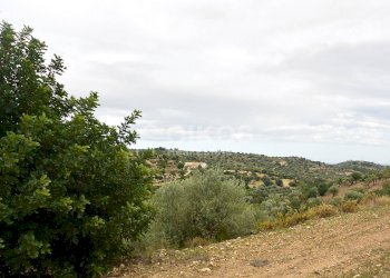 Foto 4 - Agricultural land C.da Saccollino
 
snc, Noto - photo 4