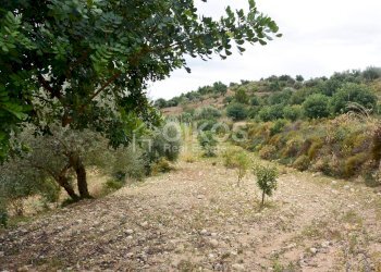 Foto 6 - Agricultural land C.da Saccollino
 
snc, Noto - photo 6