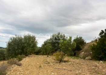 Foto 8 - Agricultural land C.da Saccollino
 
snc, Noto - photo 8