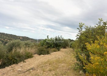 Foto 9 - Agricultural land C.da Saccollino
 
snc, Noto - photo 9