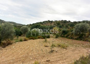 Foto 10 - Agricultural land C.da Saccollino
 
snc, Noto - photo 10