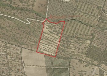 Foto 13 - Agricultural land C.da Saccollino
 
snc, Noto - photo 13