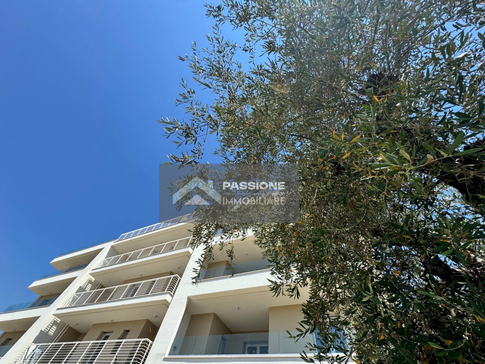 Foto 12 - Trilocale via roma 150, Martinsicuro - planimetria 1