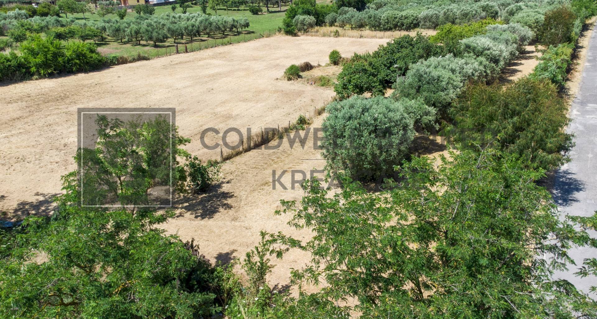 Foto 1 - Terreno agricolo Via Della Falcognana
 
61, Roma - foto 1