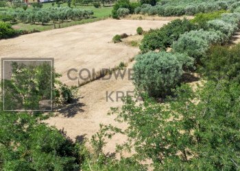 Foto 1 - Terreno agricolo Via Della Falcognana
 
61, Roma - foto 1