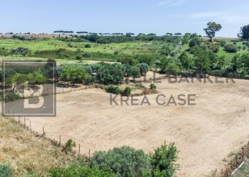 Foto 2 - Terreno agricolo Via Della Falcognana
 
61, Roma - foto 2