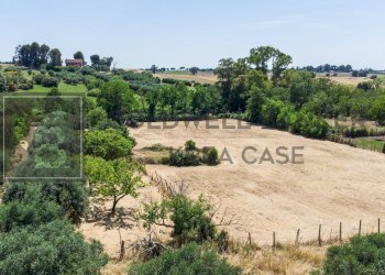 Foto 3 - Terreno agricolo Via Della Falcognana
 
61, Roma - foto 3