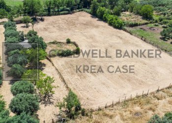 Foto 4 - Terreno agricolo Via Della Falcognana
 
61, Roma - foto 4