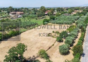 Foto 5 - Terreno agricolo Via Della Falcognana
 
61, Roma - foto 5