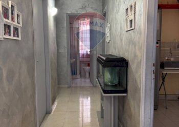 Hall / corridoio - Trilocale Via Andrea Anfuso
 
12, Palermo - foto 6