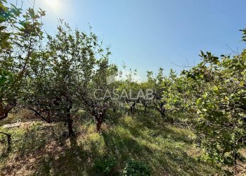 Foto 33 - Villa Via Sotto Colubrino, Carini - foto 32