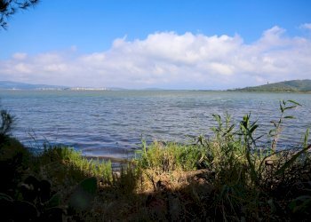 Foto 8 - Villa Strada Vicinale  del Pino
 
snc, Orbetello - foto 8