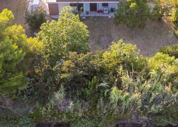 Foto 4 - Villa Strada Vicinale  del Pino
 
snc, Orbetello - foto 4