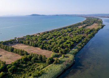 Foto 23 - Villa Strada Vicinale  del Pino
 
snc, Orbetello - foto 23