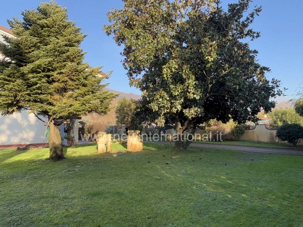 Giardino - Villa via Bregoscia, Montignoso - foto 3