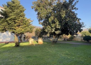 Giardino - Villa via Bregoscia, Montignoso - foto 3