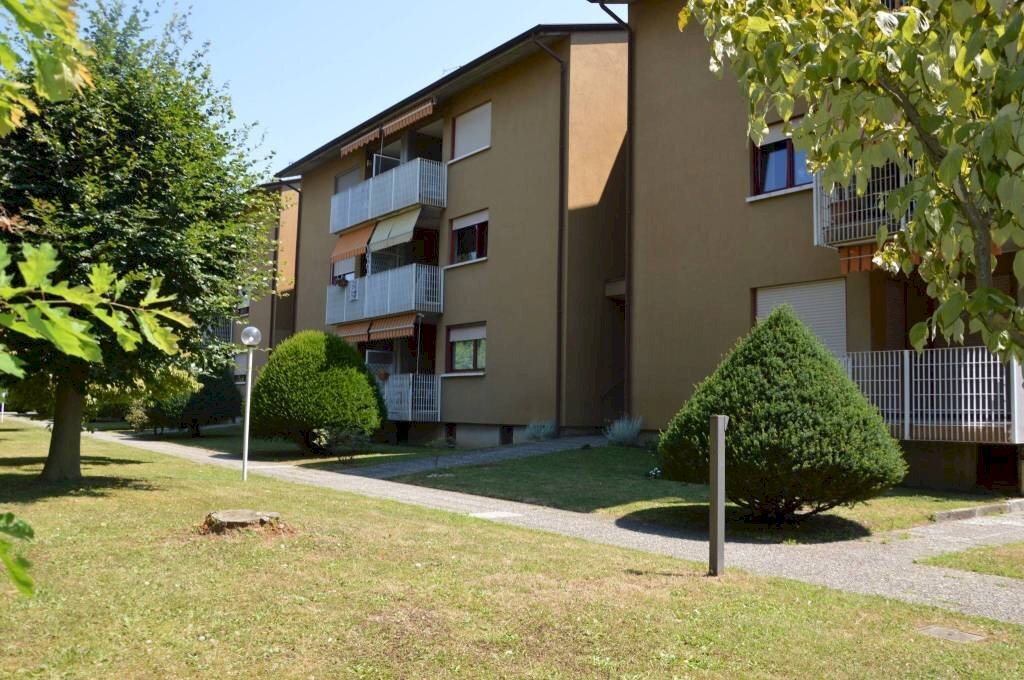 Giardino - Trilocale via Giuseppe Di Vittorio, 71, Vergiate - foto 3