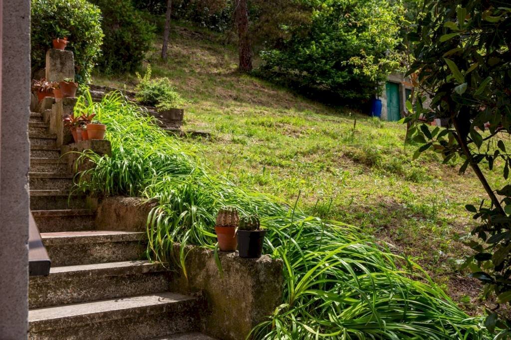 Giardino - Rustic Località Molli, Melazzo - photo 1