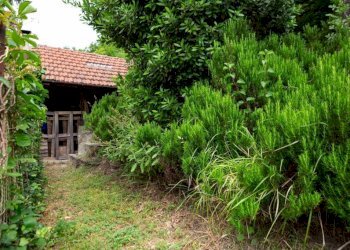 Giardino - Rustico Località Molli, Melazzo - foto 16