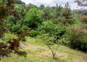 Terreno - Rustic Località Molli, Melazzo - photo 17