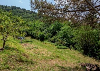 Terreno - Rustico Località Molli, Melazzo - foto 22