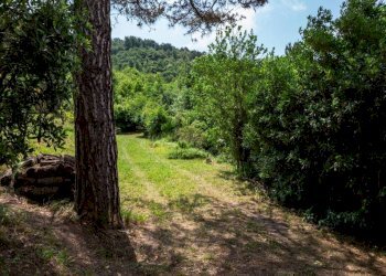 Terreno - Rustico Località Molli, Melazzo - foto 28