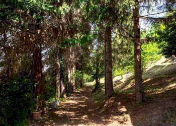 Giardino - Rustic Località Molli, Melazzo - photo 29