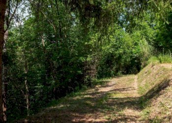 Terreno - Rustico Località Molli, Melazzo - foto 35