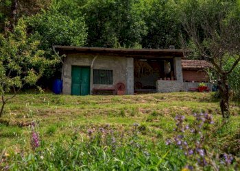 Terreno - Rustic Località Molli, Melazzo - photo 36