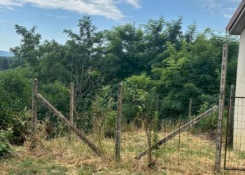 Terreno - Villa via Saborello, Vaglio Serra - foto 26