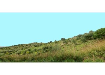 Casa semi indipendente Rocca di Neto - foto 7