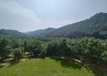 Farmhouse Cravanzana - photo 35