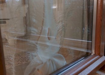 Appartamento Ferrara - foto 7