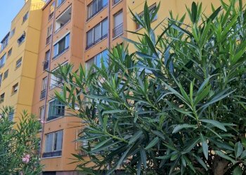 Appartamento Ferrara - foto 28