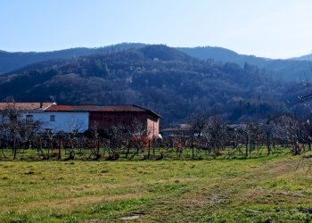 Casa semi indipendente Via degli Alteni, 3, Martiniana Po - foto 14