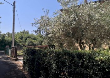 Three-room apartment Terni - photo 23