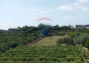 Giardino - Villa Via Luigi Capuana
 
snc, Santa Venerina - foto 4