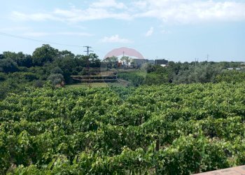 Vista delle montagne - Villa Via Luigi Capuana
 
snc, Santa Venerina - foto 27