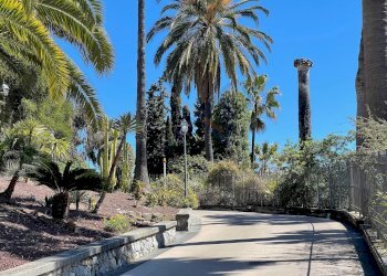 Foto 6 - Trilocale Bordighera - foto 6