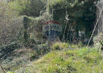 Giardino - Semi-detached house Via Nazionale
 
30, Pizzone - photo 70